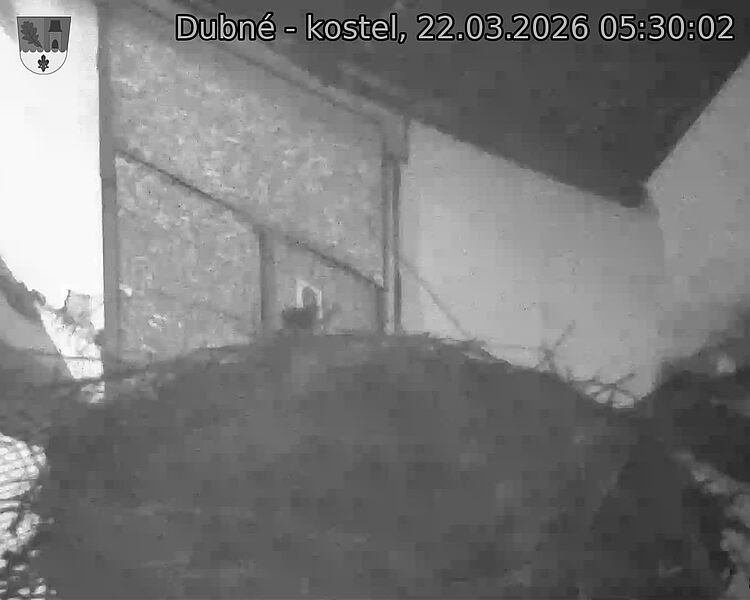 Capi_Dubne_20260322_053002.jpg (1350&nbsp;x&nbsp;1080)