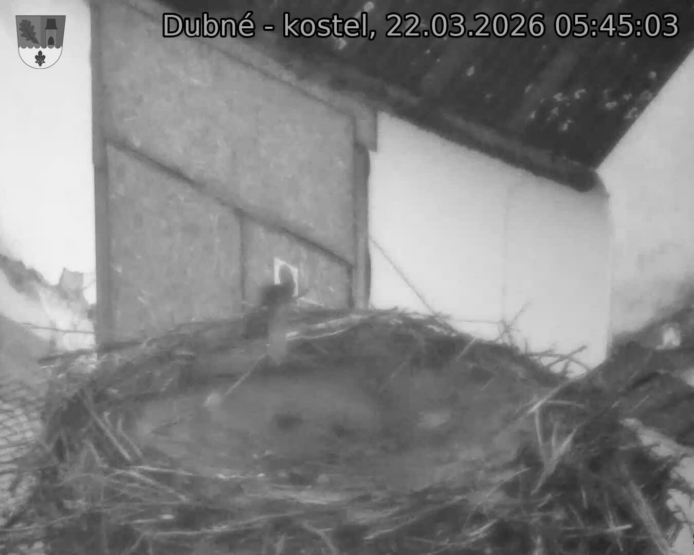 Capi_Dubne_20260322_054503.jpg (1350&nbsp;x&nbsp;1080)