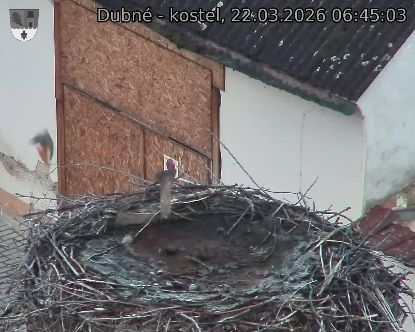 Capi_Dubne_20260322_064503.jpg (1350&nbsp;x&nbsp;1080)
