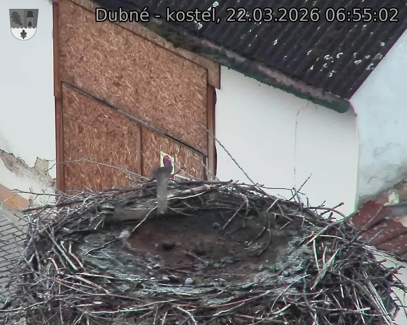 Capi_Dubne_20260322_065502.jpg (1350&nbsp;x&nbsp;1080)