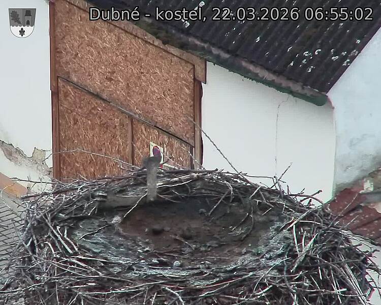 Capi_Dubne_20260322_065502.jpg (1350&nbsp;x&nbsp;1080)
