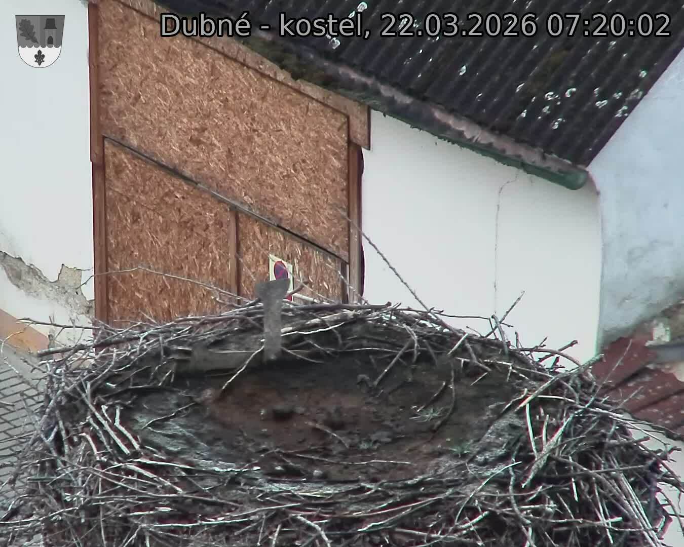 Capi_Dubne_20260322_072002.jpg (1350&nbsp;x&nbsp;1080)