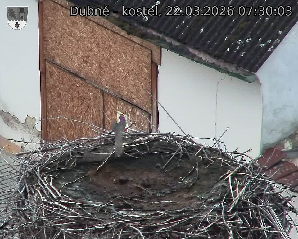 Capi_Dubne_20260322_073003.jpg (1350&nbsp;x&nbsp;1080)