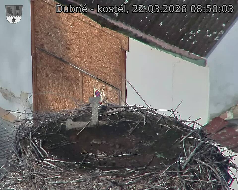 Capi_Dubne_20260322_085003.jpg (1350&nbsp;x&nbsp;1080)