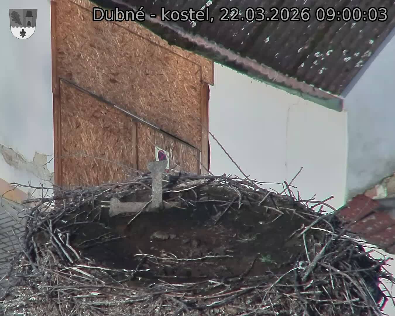 Capi_Dubne_20260322_090003.jpg (1350&nbsp;x&nbsp;1080)