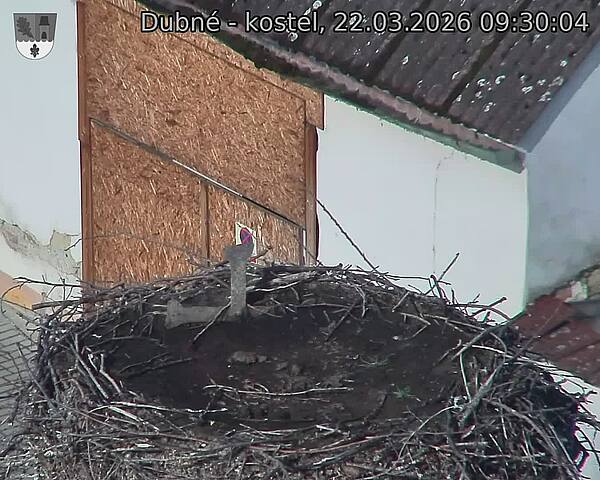 Capi_Dubne_20260322_093004.jpg (1350&nbsp;x&nbsp;1080)