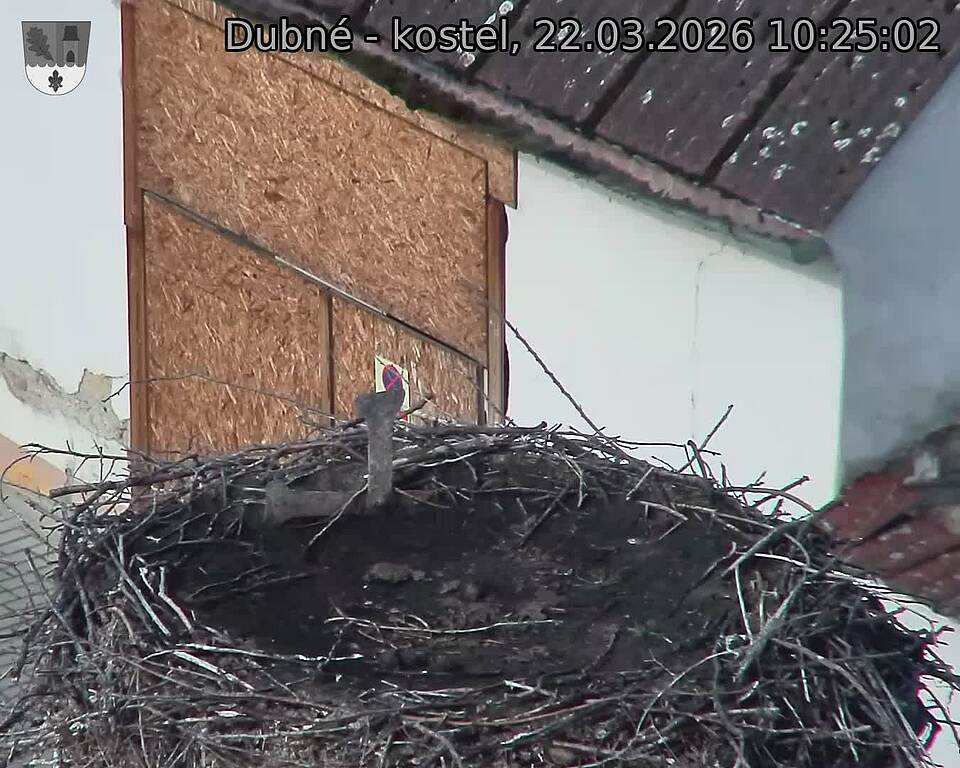 Capi_Dubne_20260322_102503.jpg (1350&nbsp;x&nbsp;1080)