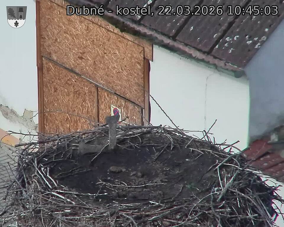 Capi_Dubne_20260322_104503.jpg (1350&nbsp;x&nbsp;1080)