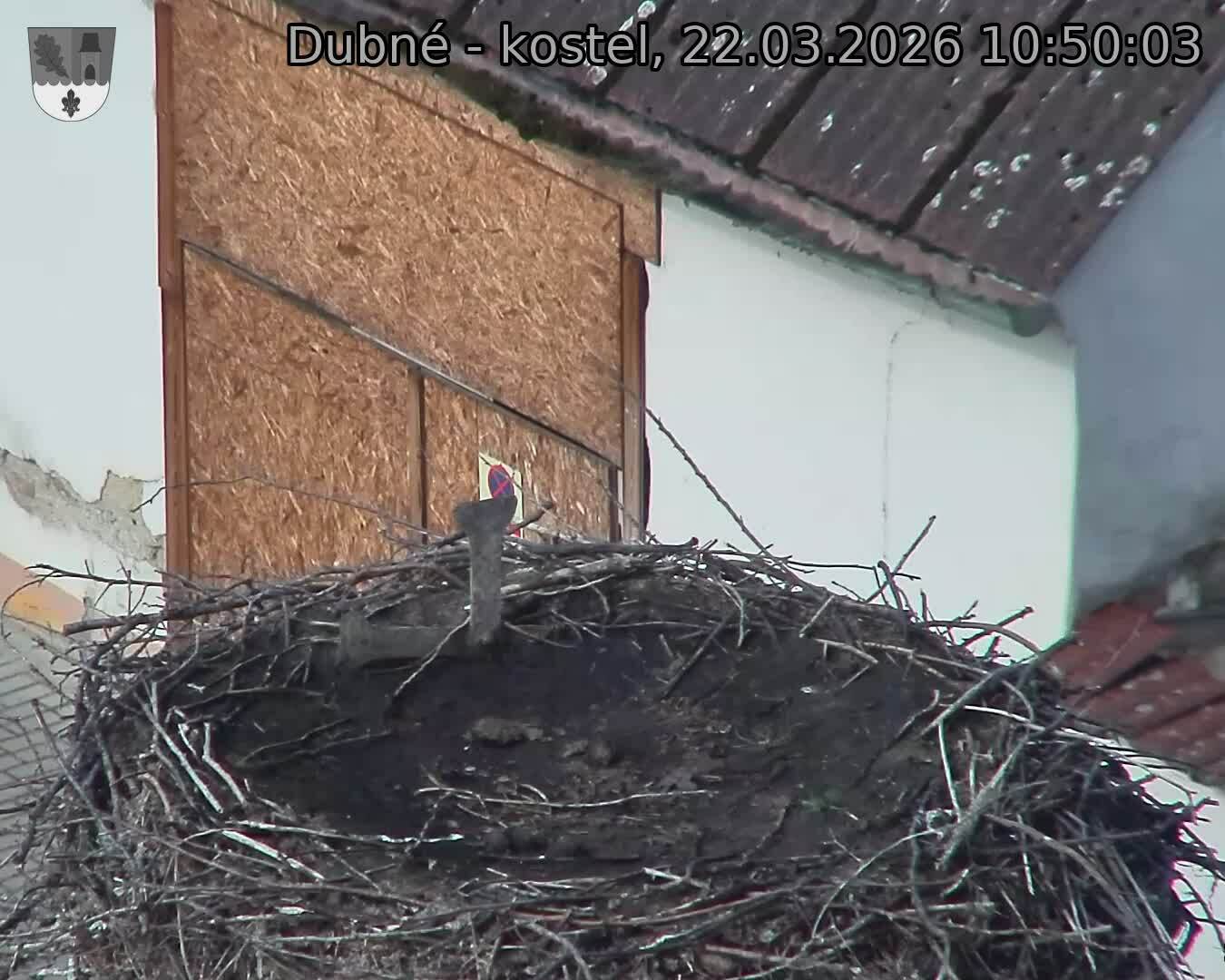 Capi_Dubne_20260322_105003.jpg (1350&nbsp;x&nbsp;1080)