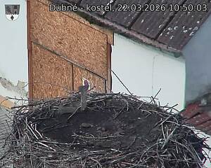 Capi_Dubne_20260322_105003.jpg (1350&nbsp;x&nbsp;1080)