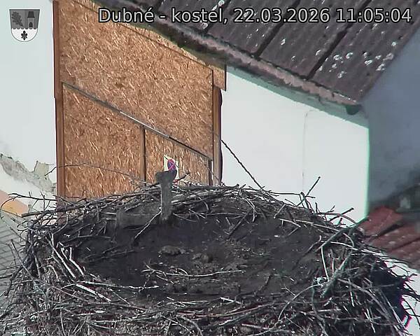 Capi_Dubne_20260322_110504.jpg (1350&nbsp;x&nbsp;1080)