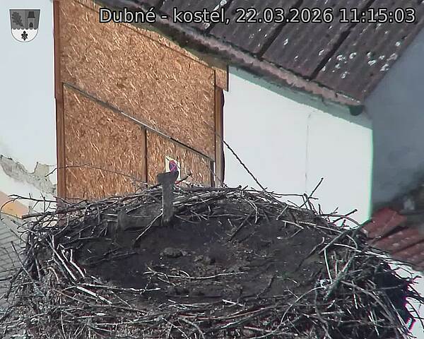 Capi_Dubne_20260322_111503.jpg (1350&nbsp;x&nbsp;1080)