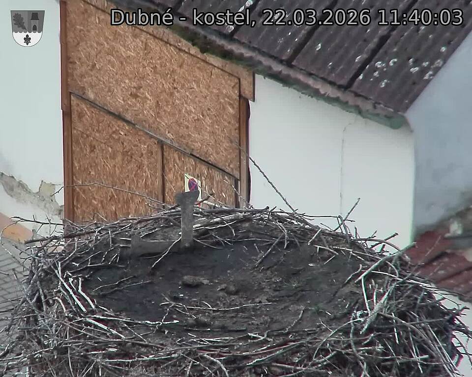 Capi_Dubne_20260322_114003.jpg (1350&nbsp;x&nbsp;1080)