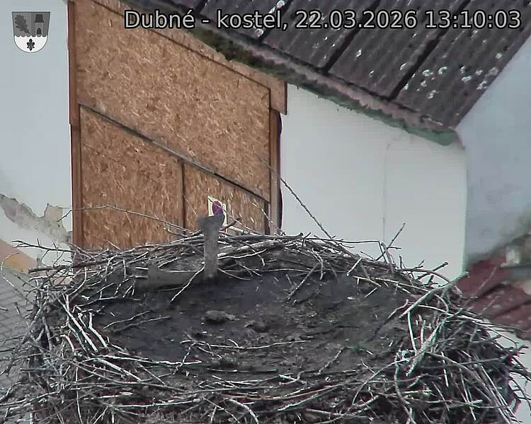 Capi_Dubne_20260322_131003.jpg (1350&nbsp;x&nbsp;1080)