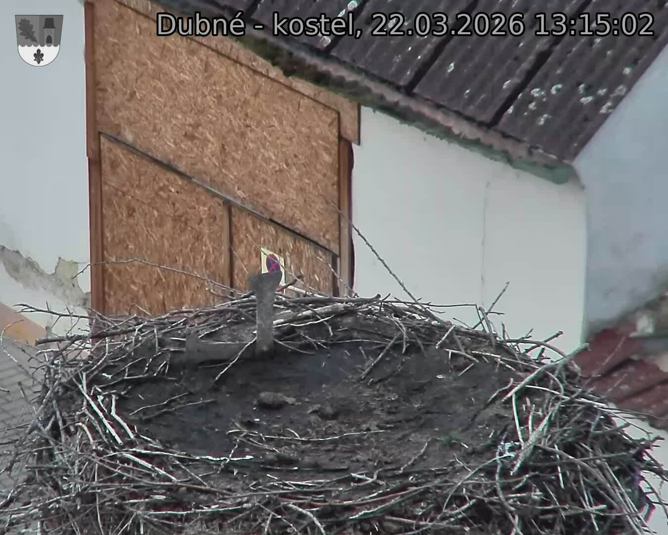 Capi_Dubne_20260322_131502.jpg (1350&nbsp;x&nbsp;1080)
