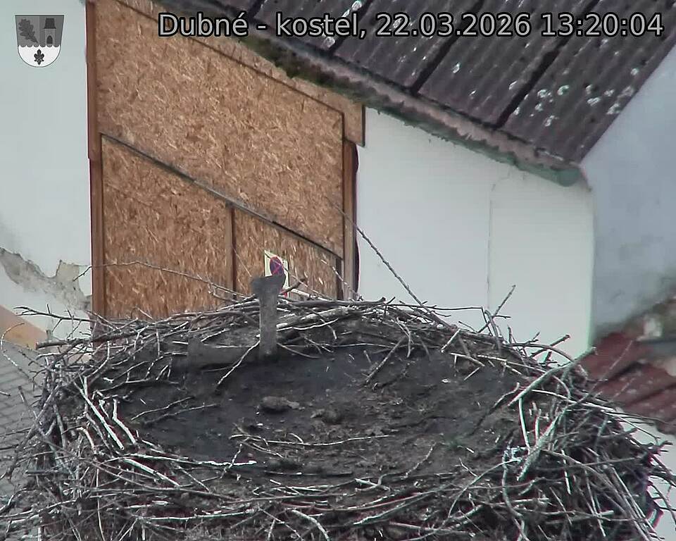 Capi_Dubne_20260322_132004.jpg (1350&nbsp;x&nbsp;1080)