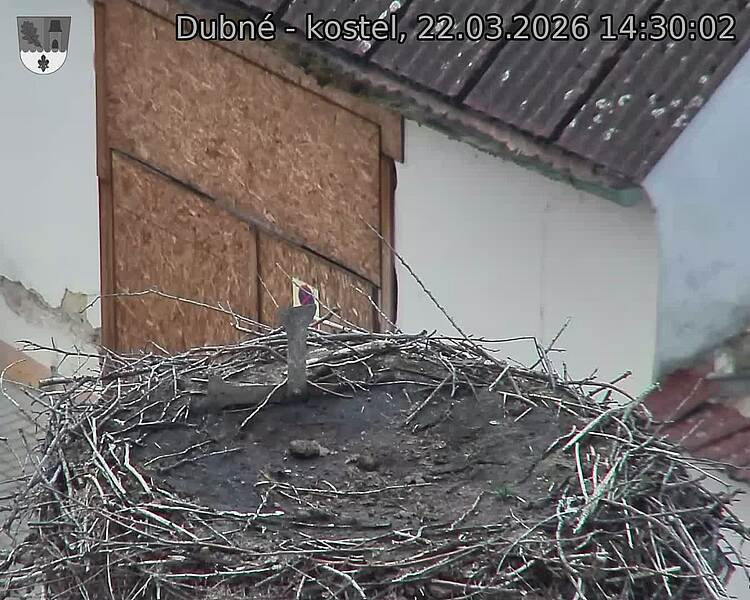 Capi_Dubne_20260322_143002.jpg (1350&nbsp;x&nbsp;1080)