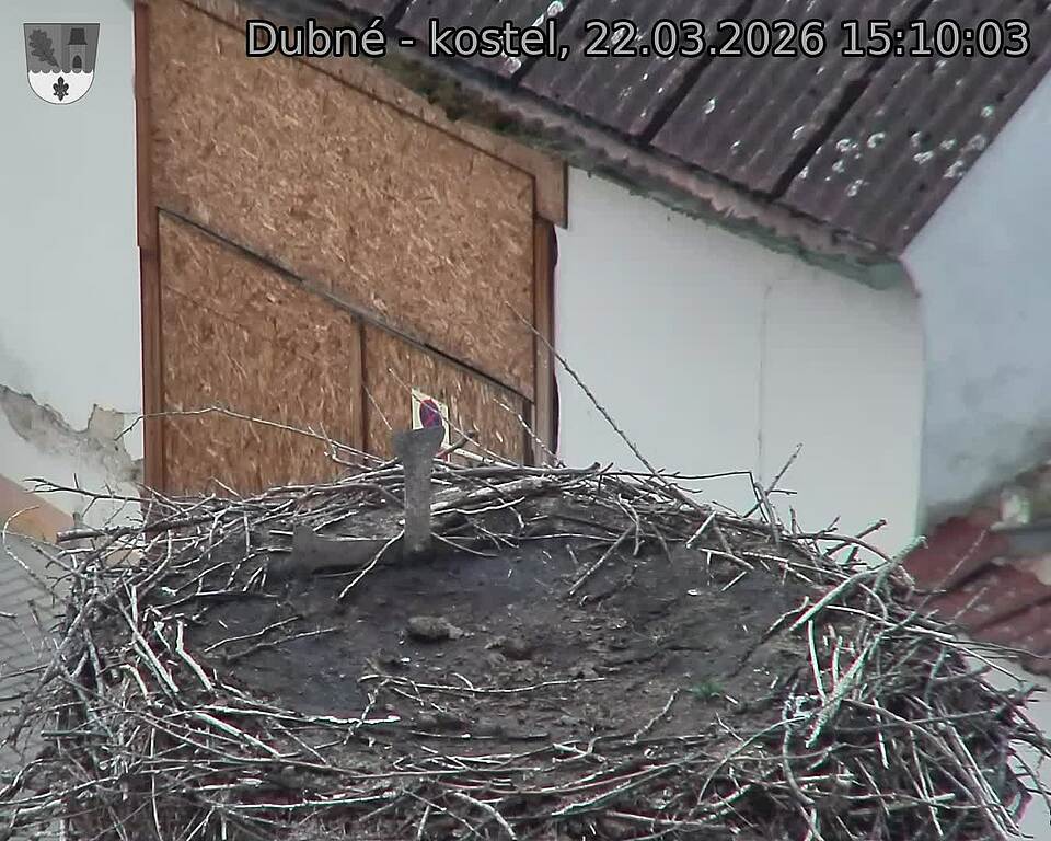 Capi_Dubne_20260322_151003.jpg (1350&nbsp;x&nbsp;1080)
