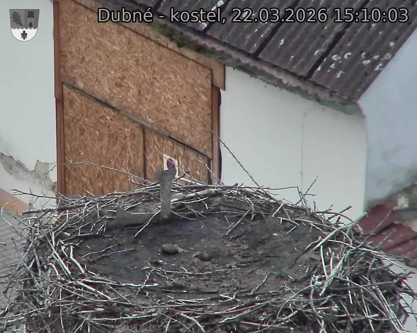 Capi_Dubne_20260322_151003.jpg (1350&nbsp;x&nbsp;1080)