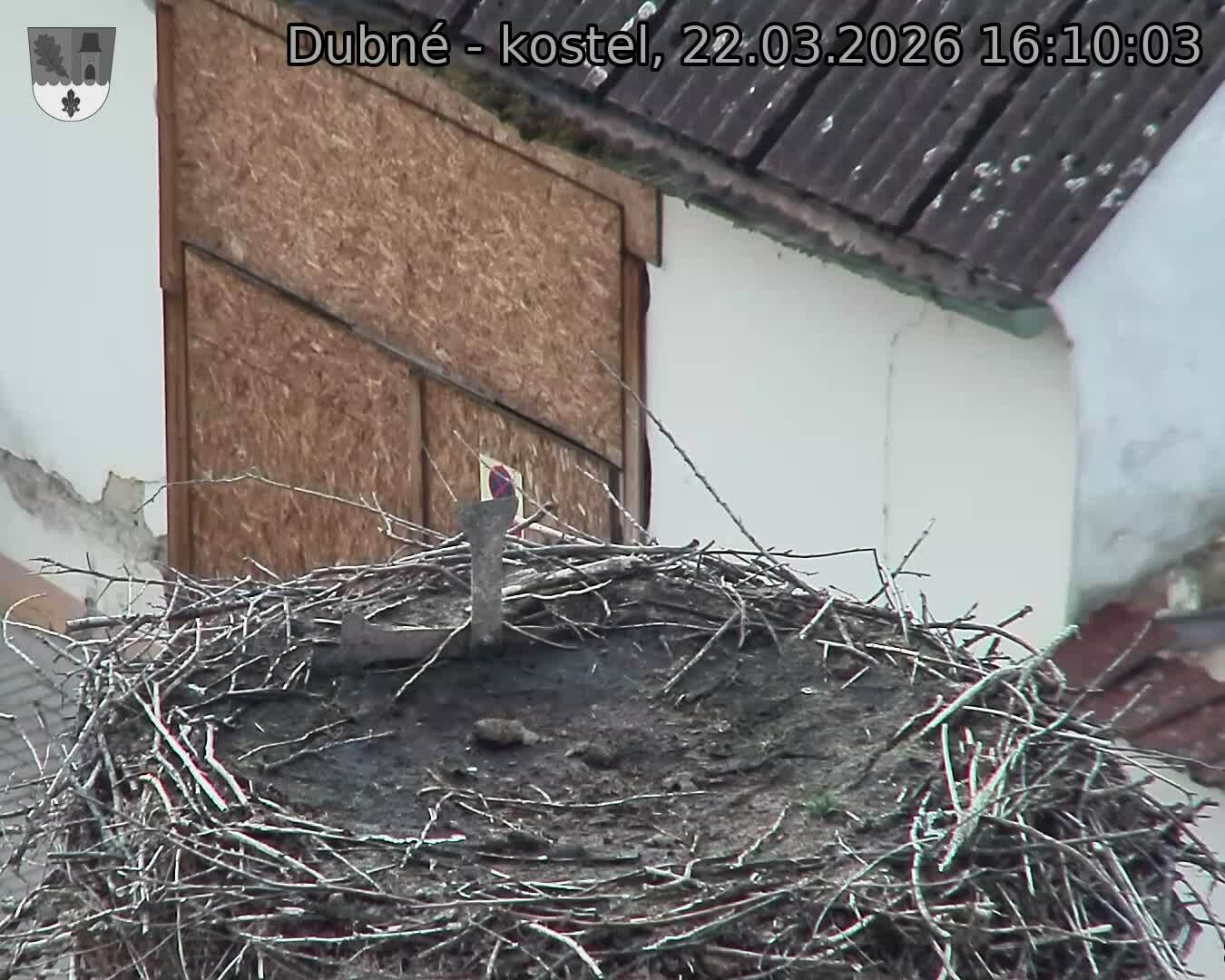 Capi_Dubne_20260322_161003.jpg (1350&nbsp;x&nbsp;1080)