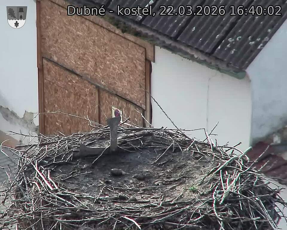 Capi_Dubne_20260322_164002.jpg (1350&nbsp;x&nbsp;1080)