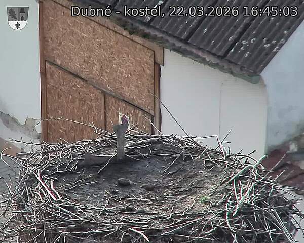 Capi_Dubne_20260322_164503.jpg (1350&nbsp;x&nbsp;1080)