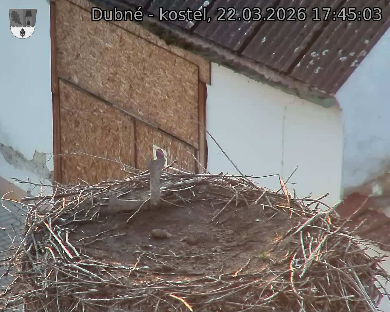 Capi_Dubne_20260322_174503.jpg (1350&nbsp;x&nbsp;1080)