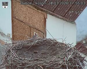 Capi_Dubne_20260322_175503.jpg (1350&nbsp;x&nbsp;1080)