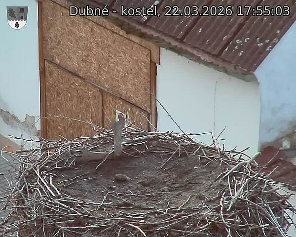 Capi_Dubne_20260322_175503.jpg (1350&nbsp;x&nbsp;1080)