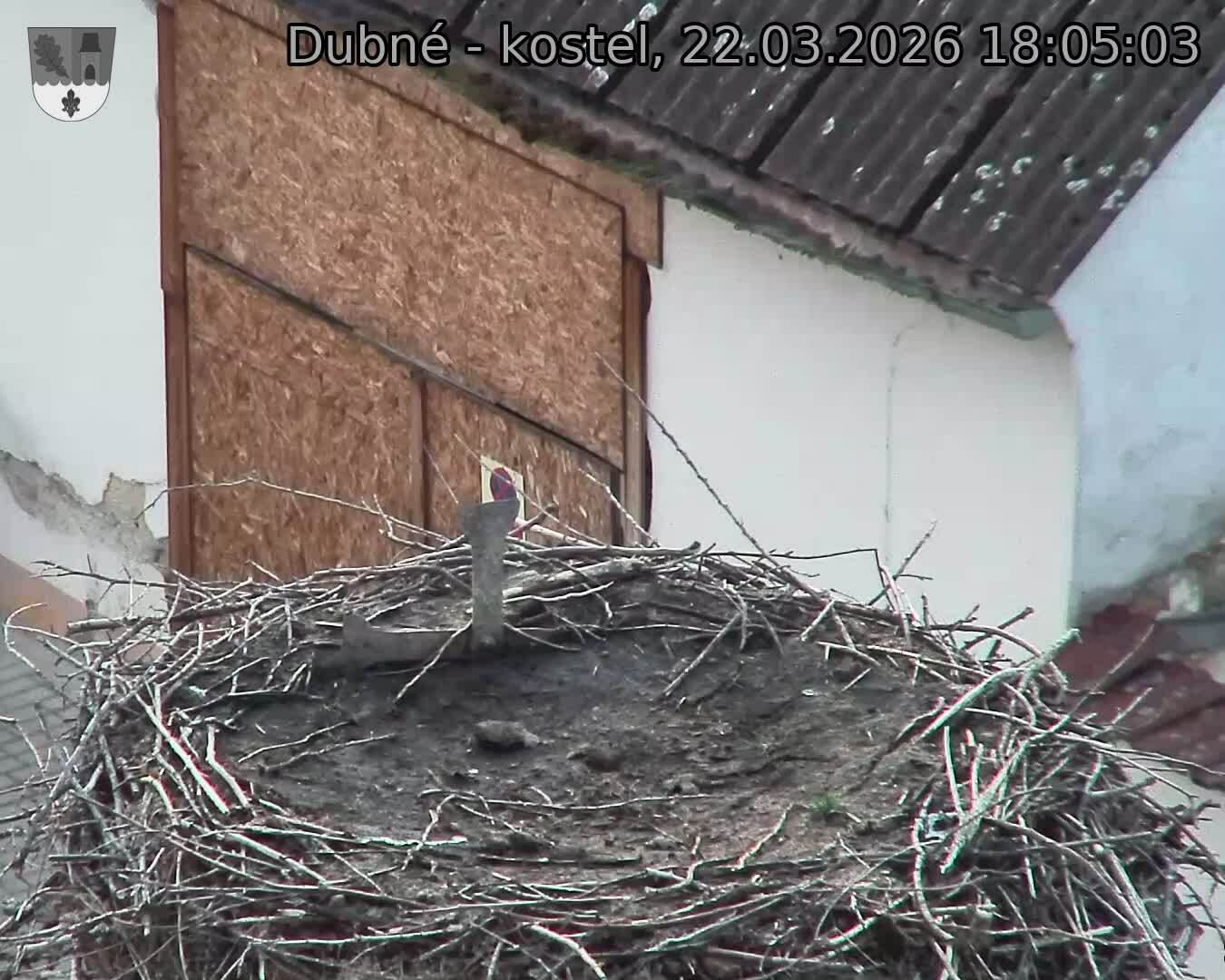 Capi_Dubne_20260322_180503.jpg (1350&nbsp;x&nbsp;1080)
