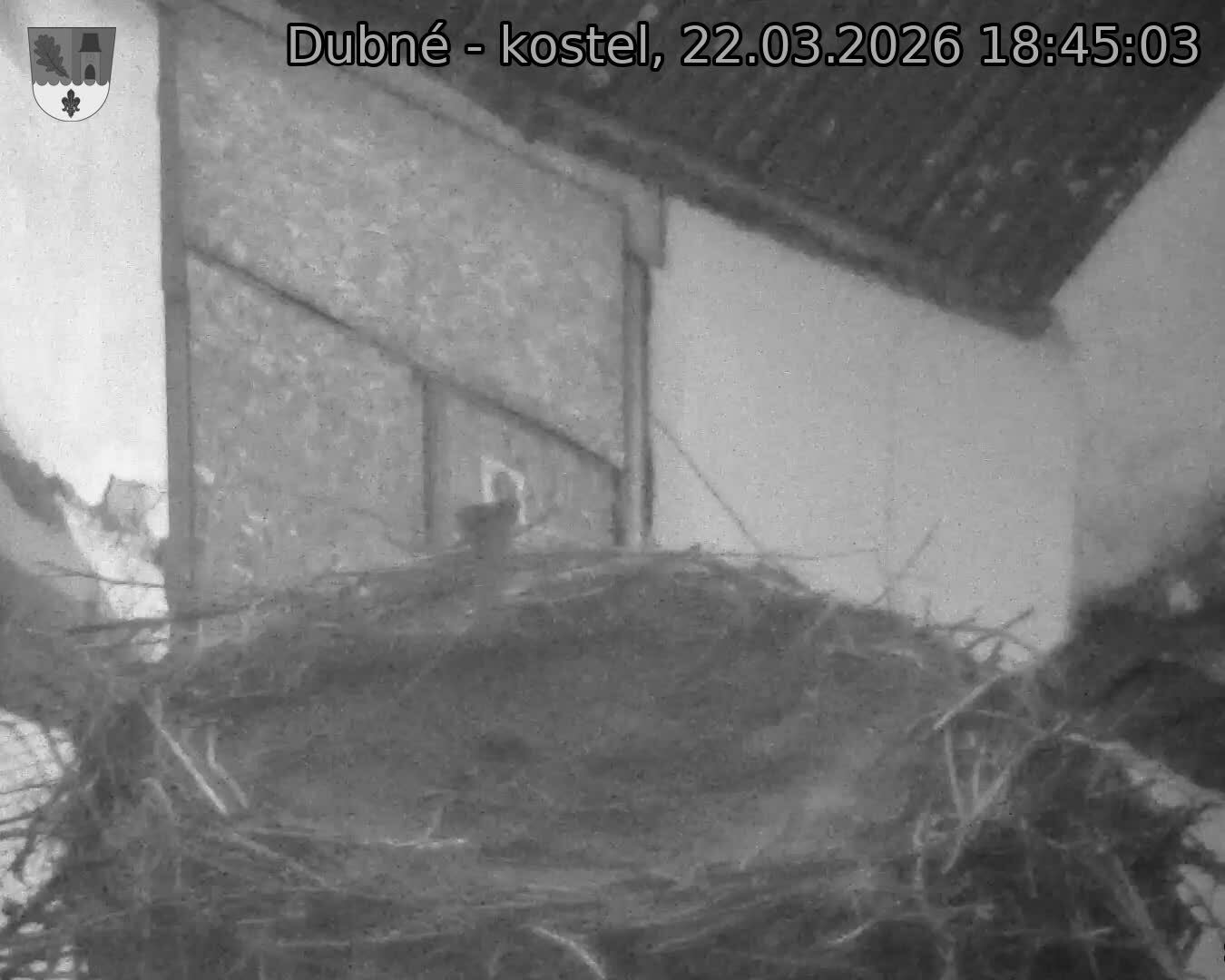 Capi_Dubne_20260322_184503.jpg (1350&nbsp;x&nbsp;1080)