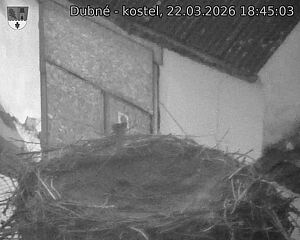 Capi_Dubne_20260322_184503.jpg (1350&nbsp;x&nbsp;1080)