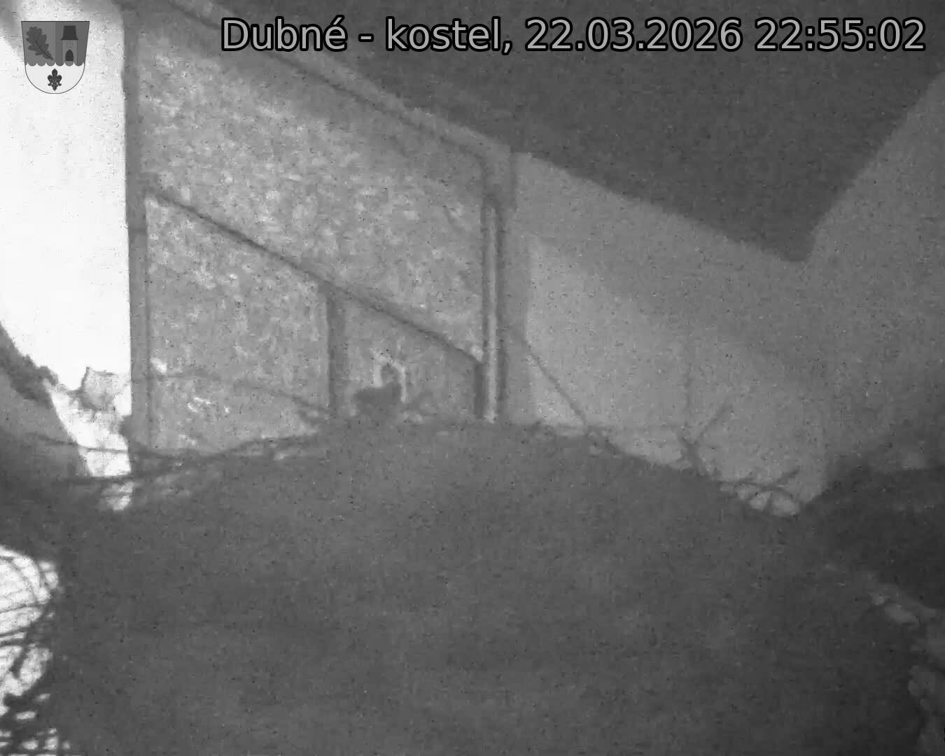 Capi_Dubne_20260322_225502.jpg (1350&nbsp;x&nbsp;1080)