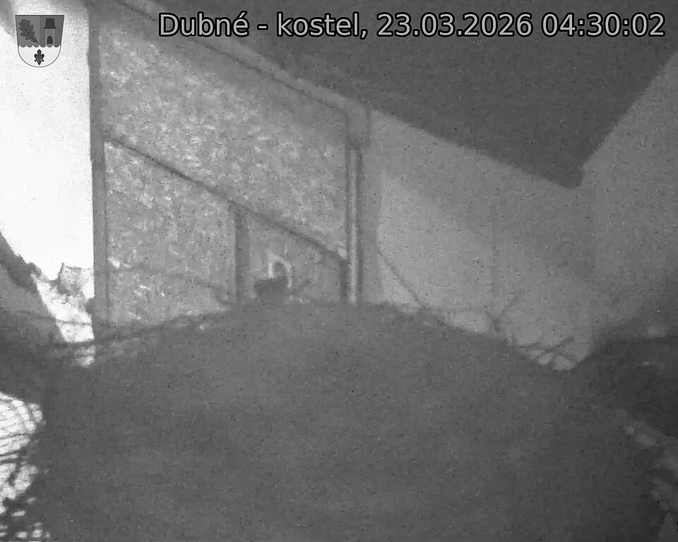 Capi_Dubne_20260323_043002.jpg (1350&nbsp;x&nbsp;1080)