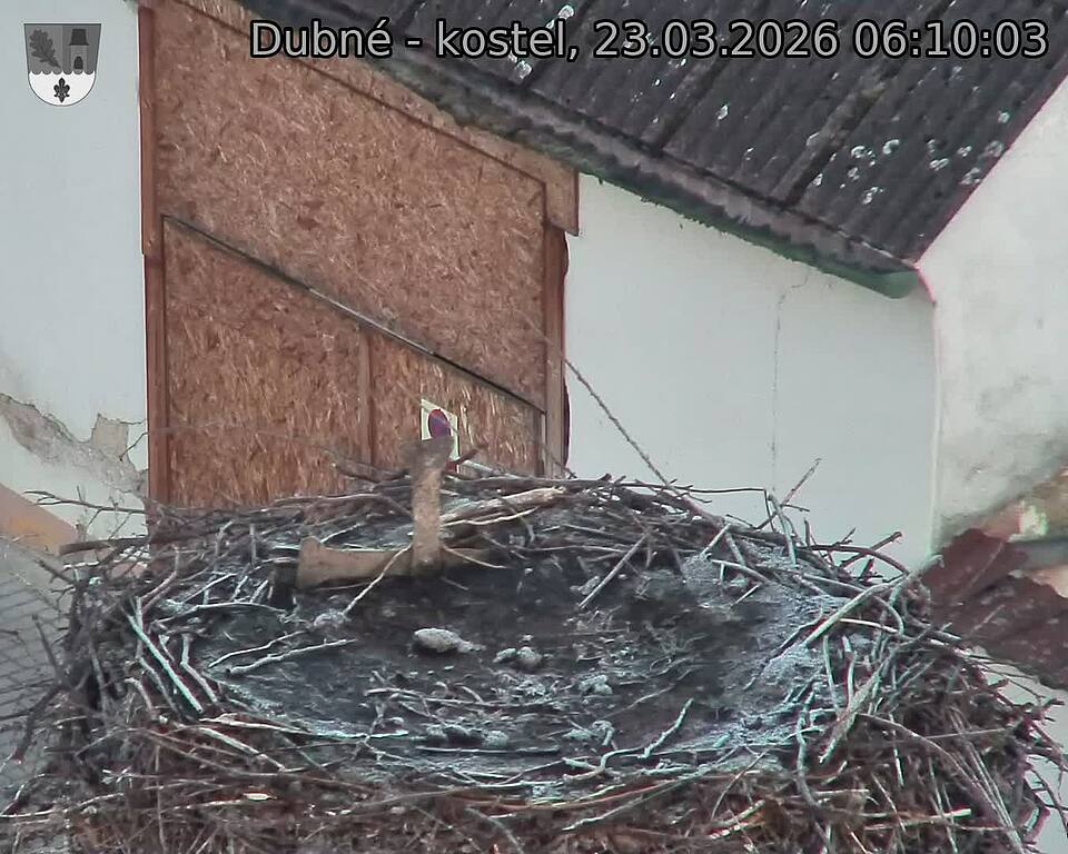Capi_Dubne_20260323_061003.jpg (1350&nbsp;x&nbsp;1080)