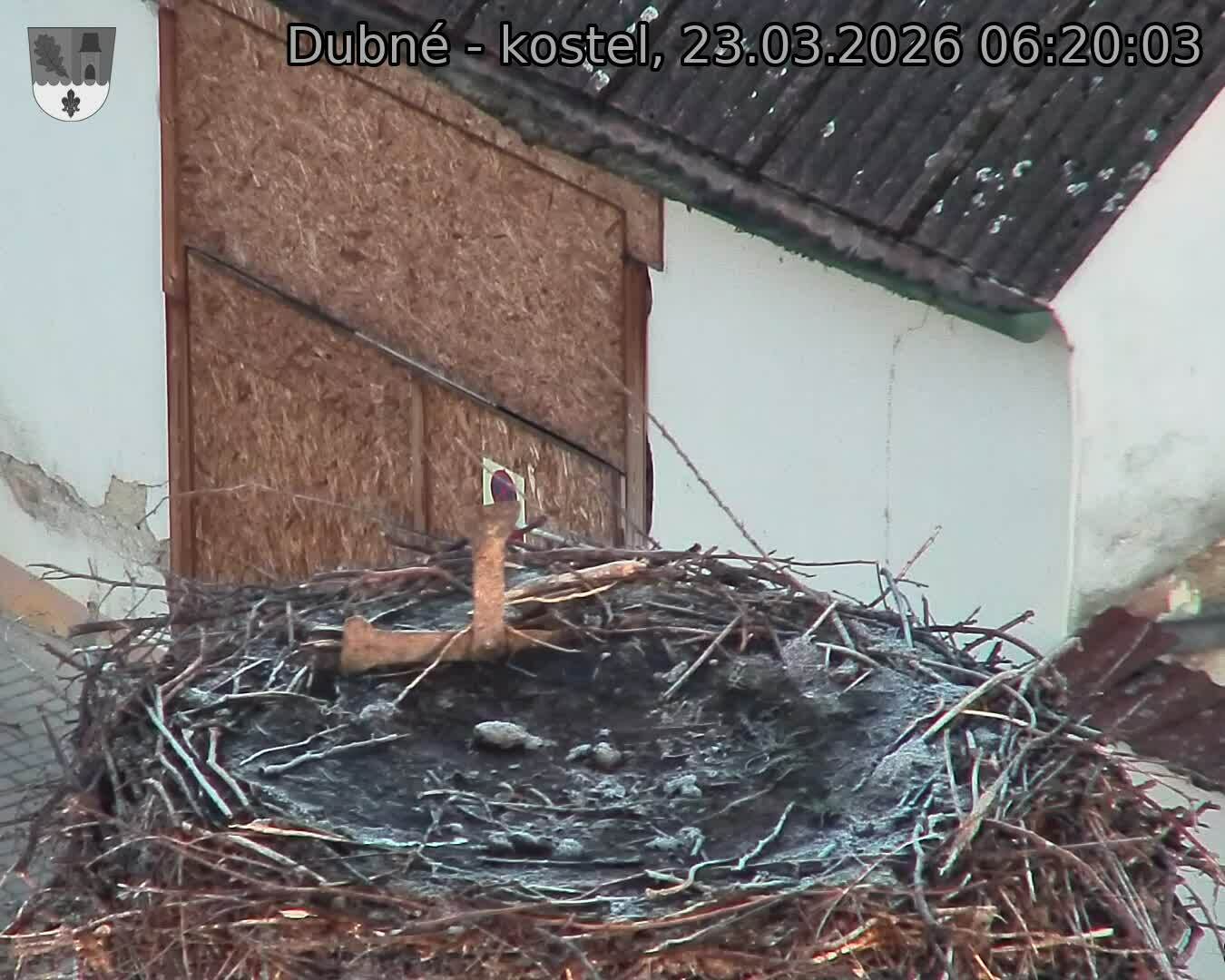 Capi_Dubne_20260323_062003.jpg (1350&nbsp;x&nbsp;1080)