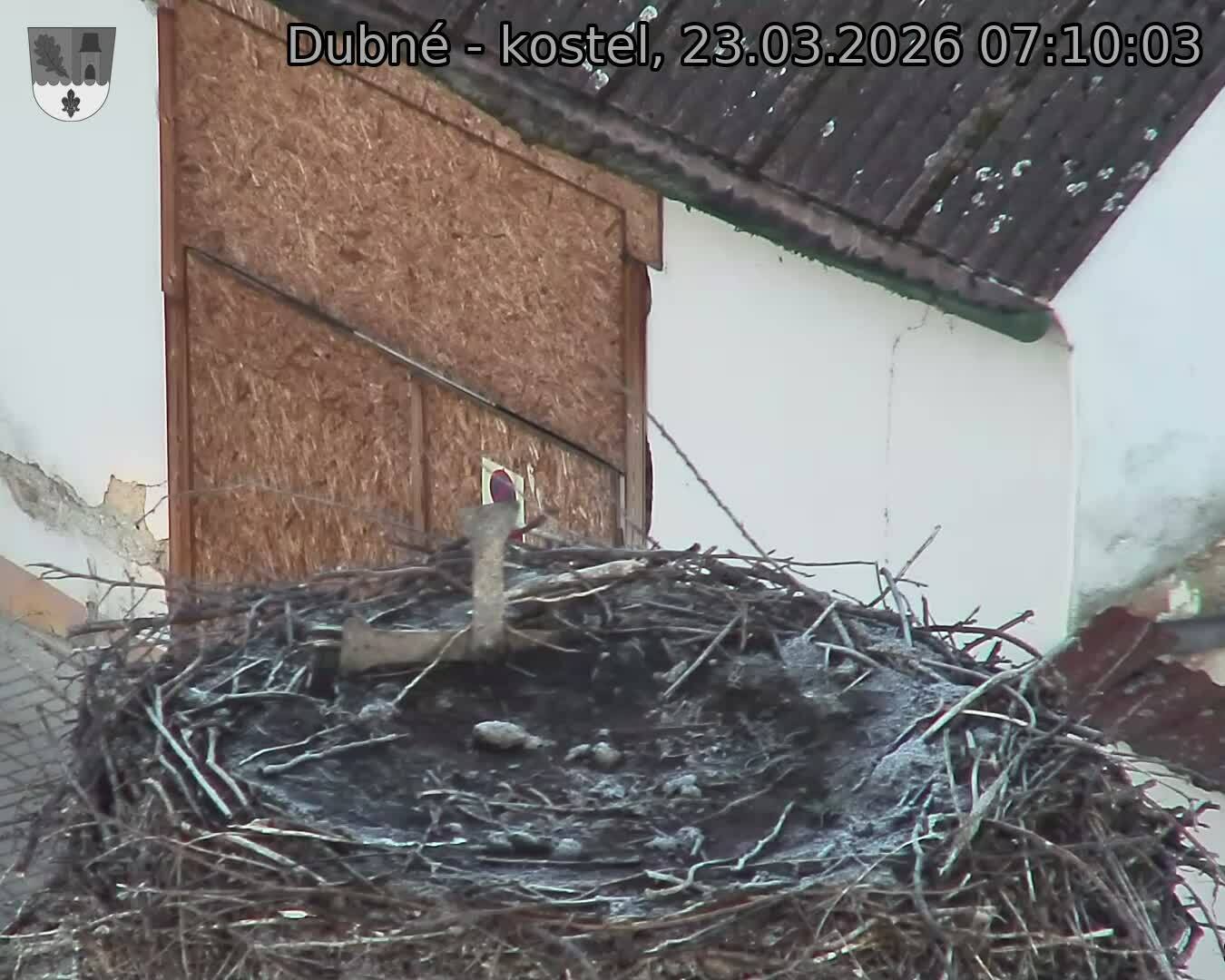 Capi_Dubne_20260323_071003.jpg (1350&nbsp;x&nbsp;1080)
