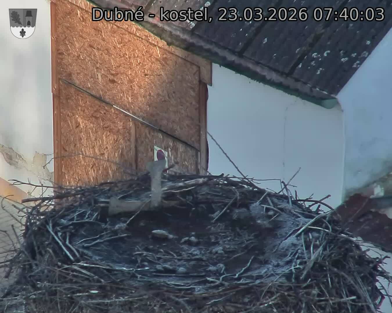 Capi_Dubne_20260323_074003.jpg (1350&nbsp;x&nbsp;1080)