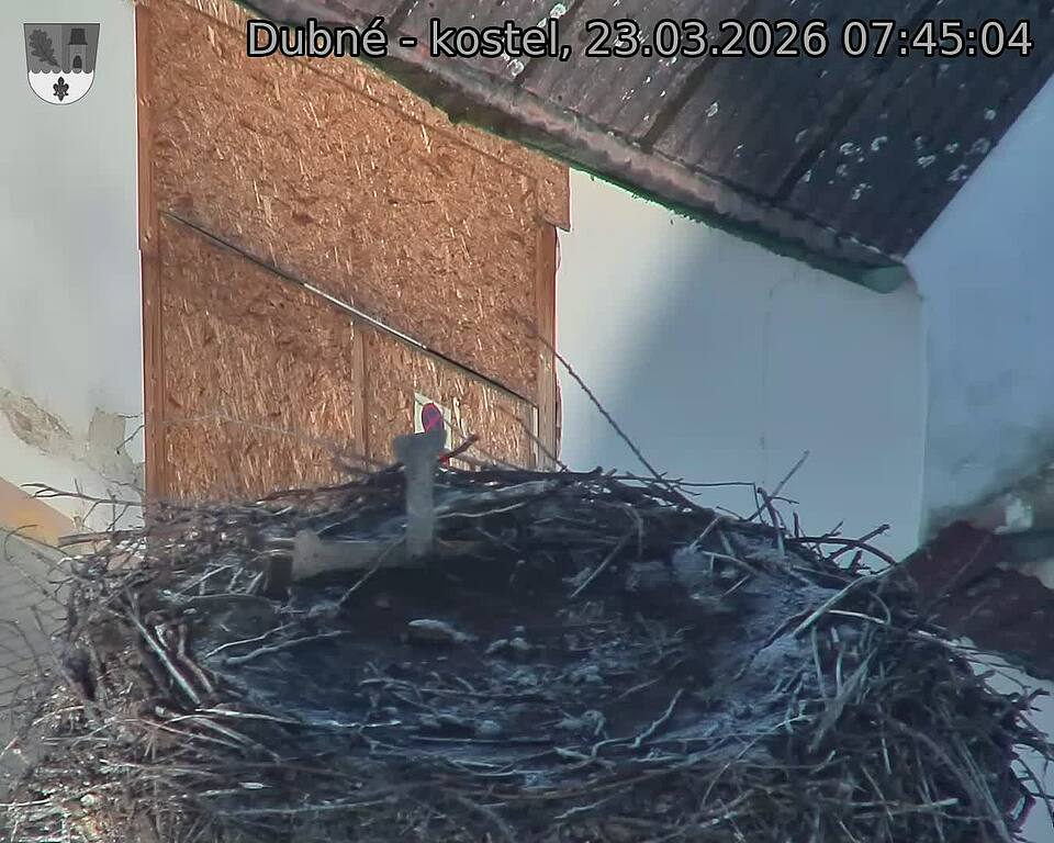 Capi_Dubne_20260323_074504.jpg (1350&nbsp;x&nbsp;1080)