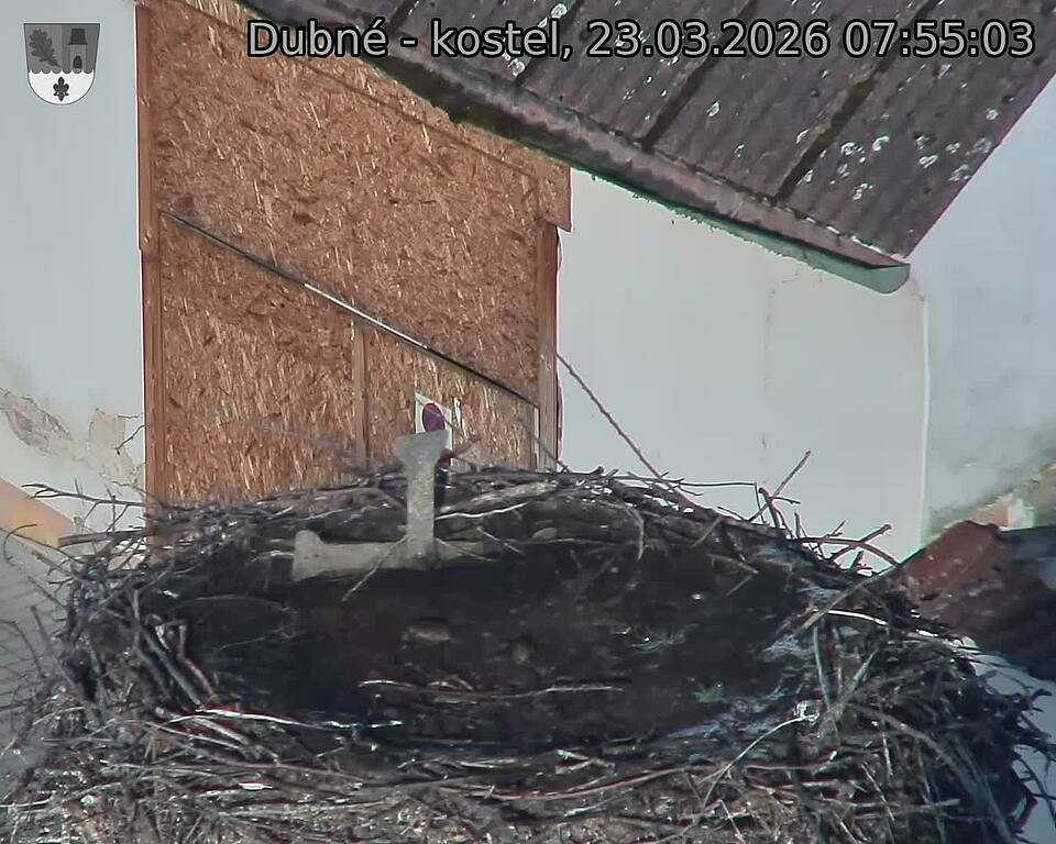 Capi_Dubne_20260323_075503.jpg (1350&nbsp;x&nbsp;1080)