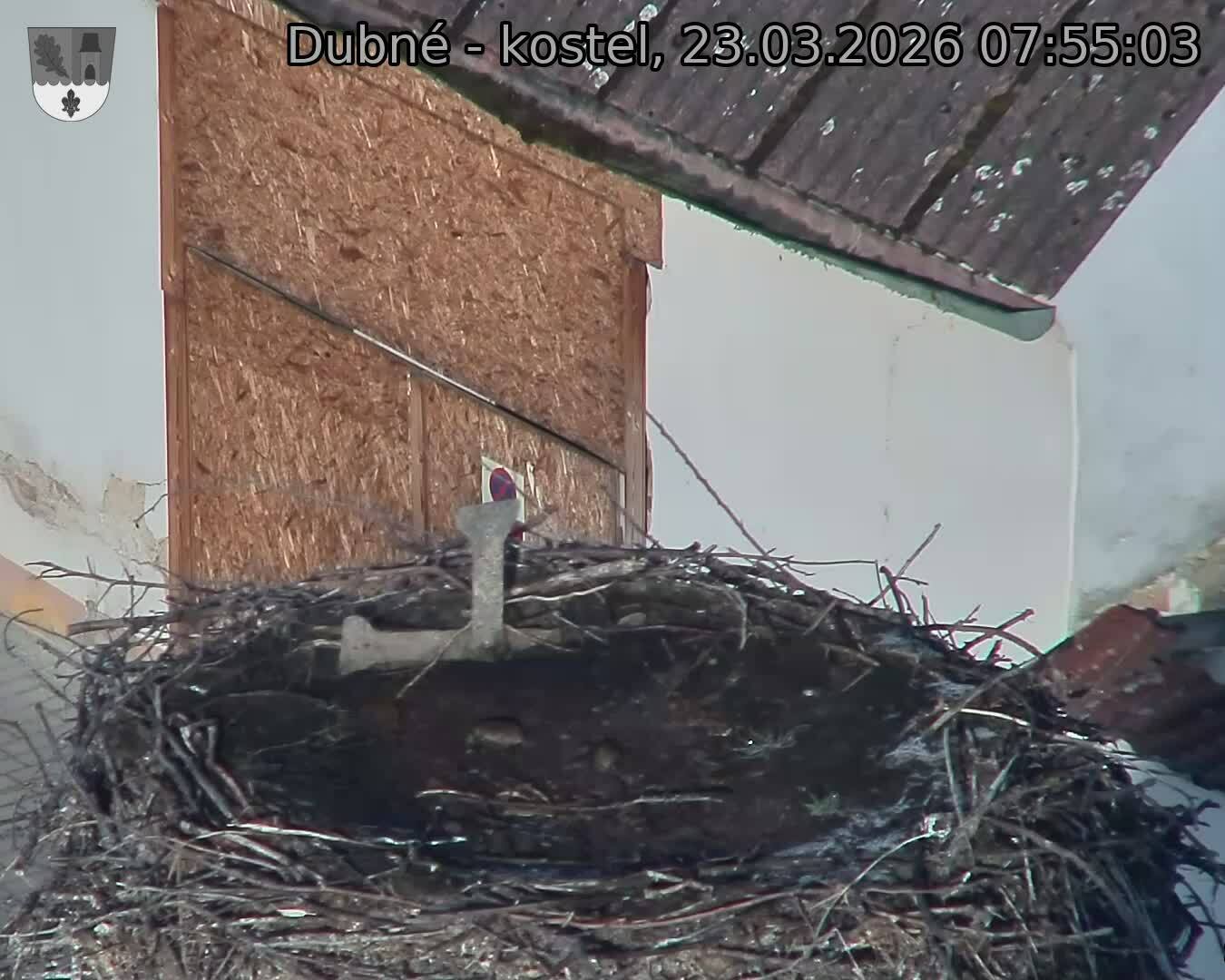 Capi_Dubne_20260323_075503.jpg (1350&nbsp;x&nbsp;1080)