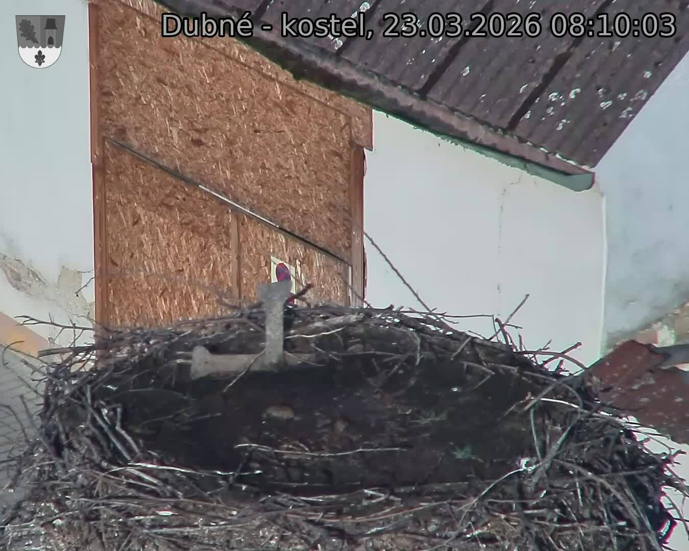 Capi_Dubne_20260323_081003.jpg (1350&nbsp;x&nbsp;1080)