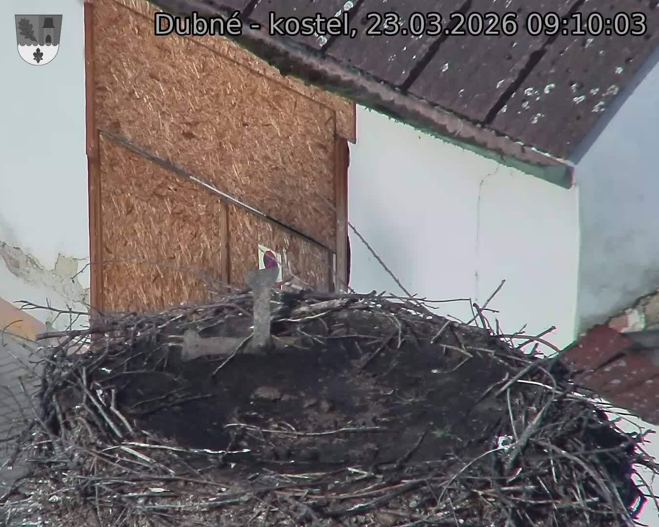 Capi_Dubne_20260323_091003.jpg (1350&nbsp;x&nbsp;1080)
