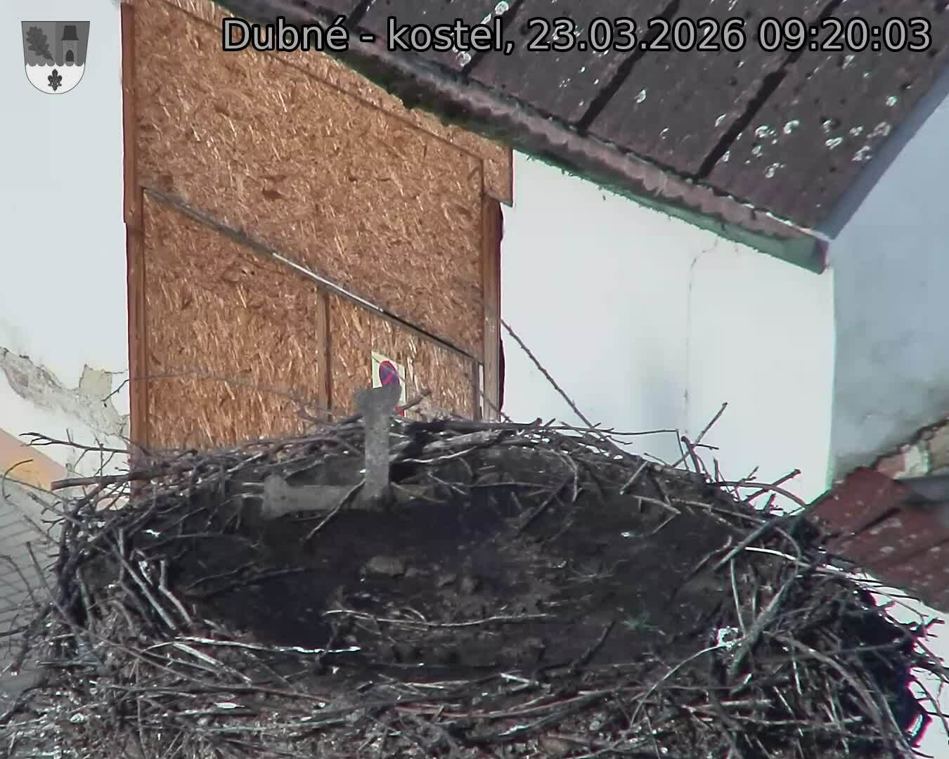 Capi_Dubne_20260323_092003.jpg (1350&nbsp;x&nbsp;1080)