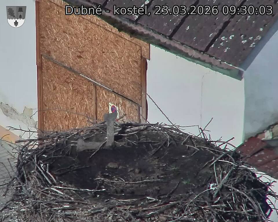 Capi_Dubne_20260323_093003.jpg (1350&nbsp;x&nbsp;1080)