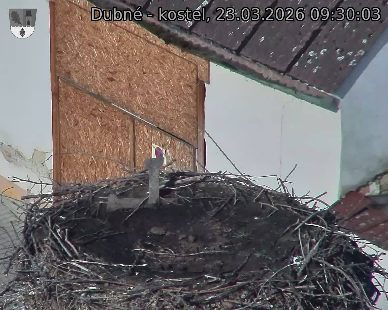 Capi_Dubne_20260323_093003.jpg (1350&nbsp;x&nbsp;1080)