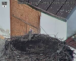 Capi_Dubne_20260323_094503.jpg (1350&nbsp;x&nbsp;1080)