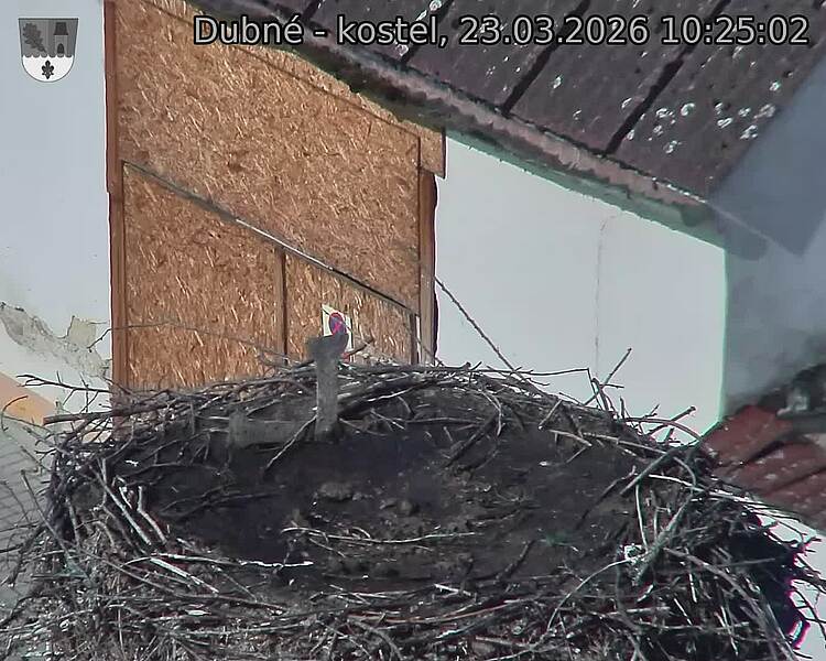 Capi_Dubne_20260323_102502.jpg (1350&nbsp;x&nbsp;1080)