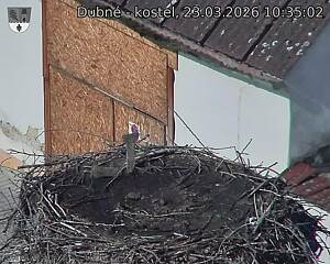 Capi_Dubne_20260323_103502.jpg (1350&nbsp;x&nbsp;1080)