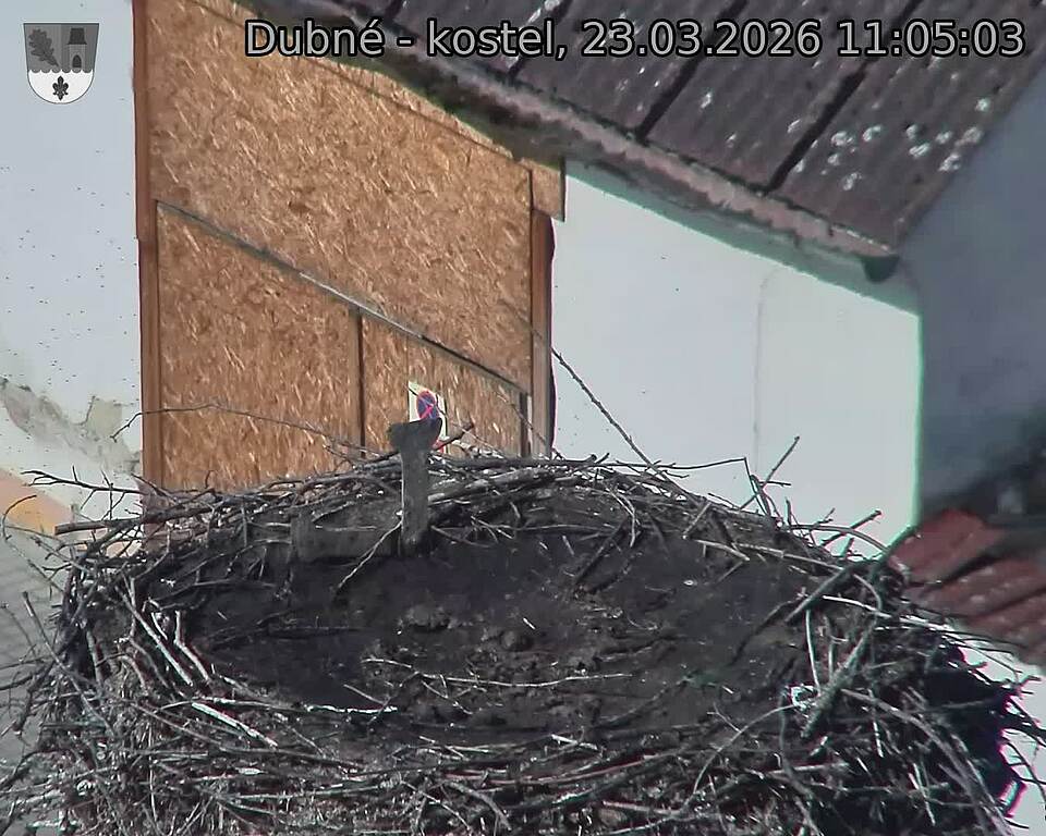 Capi_Dubne_20260323_110503.jpg (1350&nbsp;x&nbsp;1080)